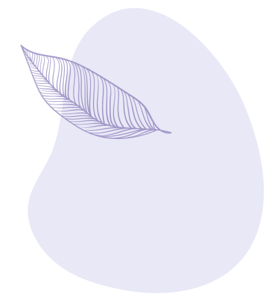 instalaciones_ilus01